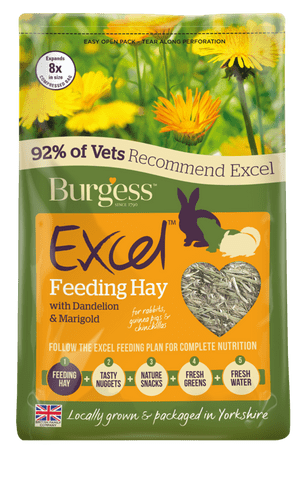 Burgess Excel Herbage Dandelion & Marigold 1 Kg