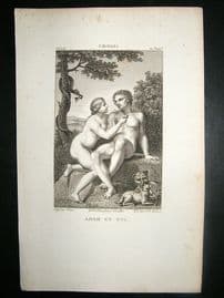 After Cignani C1810 Antique Print. Adam Et Eve, Nudes