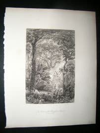 Brazil 1847 Antique Print. Scene in Brazillian Rainforest