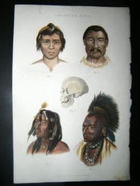 Cuvier 1854 Antique Hand Col Print. American Race. Native Indians etc