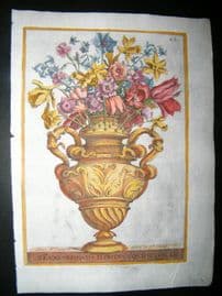 Ferrari & Variana 1633 Hand Col Botanical Print. Vase of Flowers 421