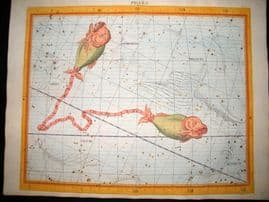 Flamsteed Atlas Coelestis 1781 LG Folio Hand Col Celestial Map. Pisces 10 Astrology