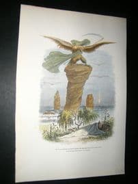 Grandville des Animaux 1842 Hand Col Print. Eagle & Bird