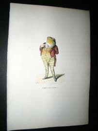Grandville des Animaux 1842 Hand Col Print. Frog Toad Man