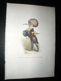 Grandville des Animaux 1842 Hand Col Print. Hoopoe Bird