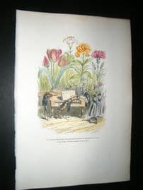 Grandville des Animaux 1842 Hand Col Print. Insects Playing Music To Flowers, Tulip