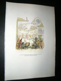 Grandville des Animaux 1842 Hand Col Print. Insects Recreating Battle