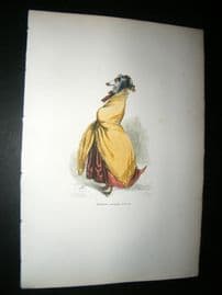 Grandville des Animaux 1842 Hand Col Print. The Cold Greyhound Dog