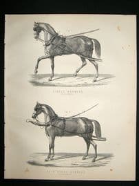 Miles Practical Farriery C1875 Antique Print. Single Harness & Pair Horse Harness