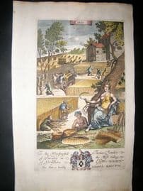 Richard Blome 1686 Hand Col Print. Ceres. Agriculture, Farming