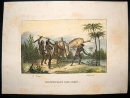 Schinz 1845 Antique Hand Col Print. Brazilian Indians 48