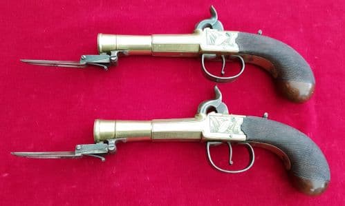 A Very Fine Pair Of  Brass Barrelled Blunderbuss Pistols with Spring Bayonets. Made by Lewis & Tomes. Superb condition. Ref 8289.