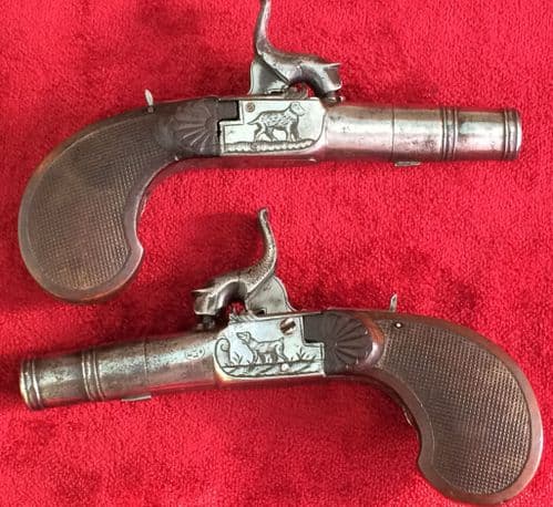 An unusual pair of continental Percussion pocket pistols with folding triggers. Circa 1840. Good condition. Ref 8562.