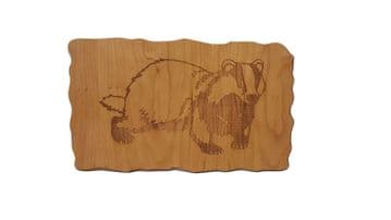Badger - Engraved Wooden Wall Plaque - Choice of Wood Type