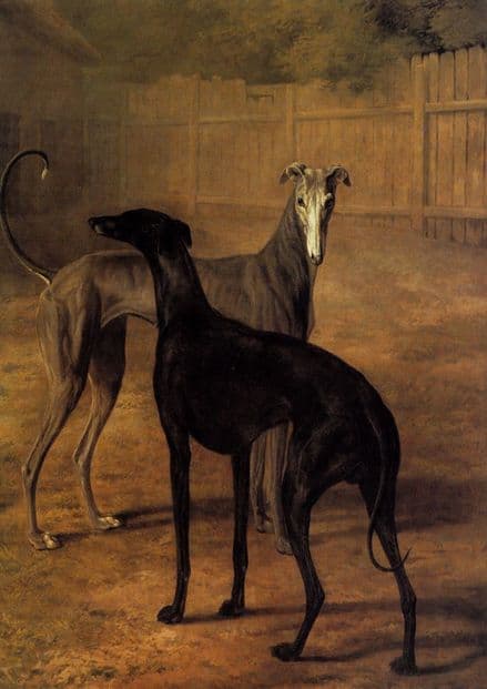 Agasse, Jacques Laurent: Rolla and Portia (Greyhounds). Fine Art Print.  (00652)