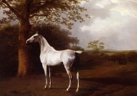 Agasse, Jacques Laurent: White Horse in Pasture. Fine Art (Animal) Print.  (00650)