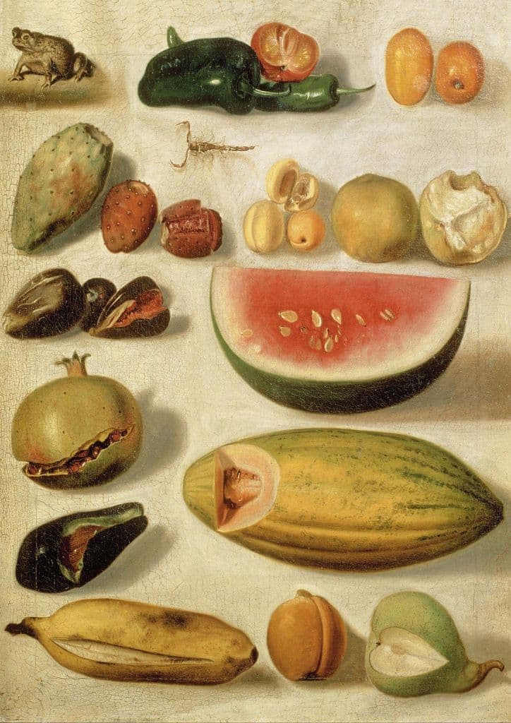 Bustos, Hermenegildo: Still Life with Fruit (with Scorpion and Frog). Fine Art Print.  (004207)