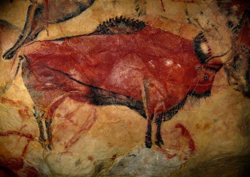 Cave Painting of a Bison in the Cave of Altamira, Spain. Prehistoric Art Print.  (00619)
