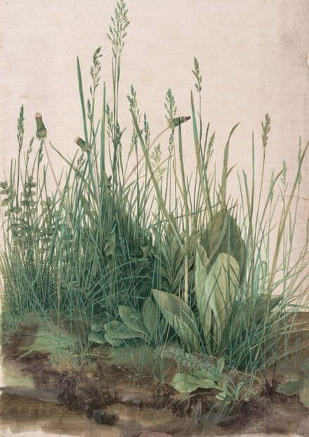 Durer, Albrecht: The Large Turf. (Realism) Botanical Fine Art Print.  (001912)