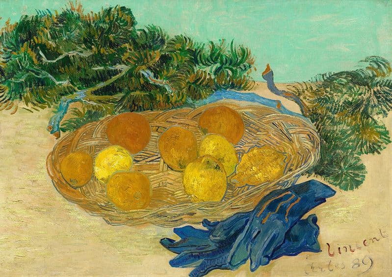 Van Gogh, Vincent: Still Life of Oranges and Lemons with Blue Gloves. Fine Art Print.  (004053)