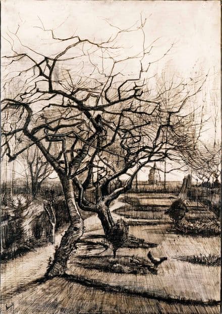 Van Gogh, Vincent: The Parsonage Garden at Nuenen in Winter. Fine Art Print.  (004064)