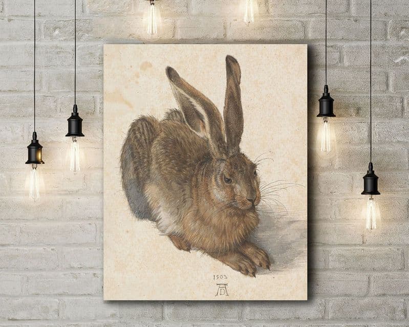Albrecht Durer: A Young Hare. Fine Art Canvas.