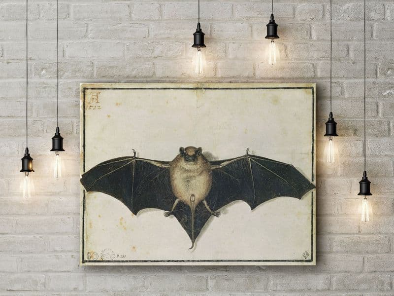 Albrecht Durer: Bat. Fine Art Canvas.