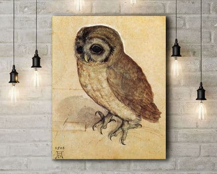 Albrecht Durer: The Little Owl. Fine Art Canvas.
