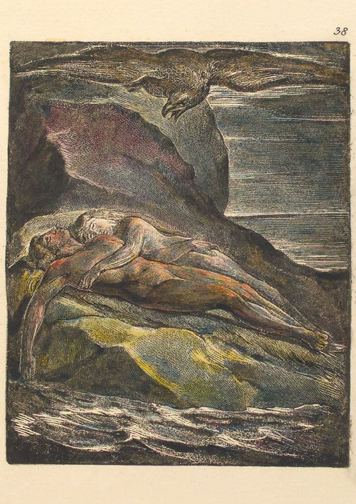 Blake, William: The Eagle ... Illustration from Milton, a Poem. Fine Art Print/Poster (4957)