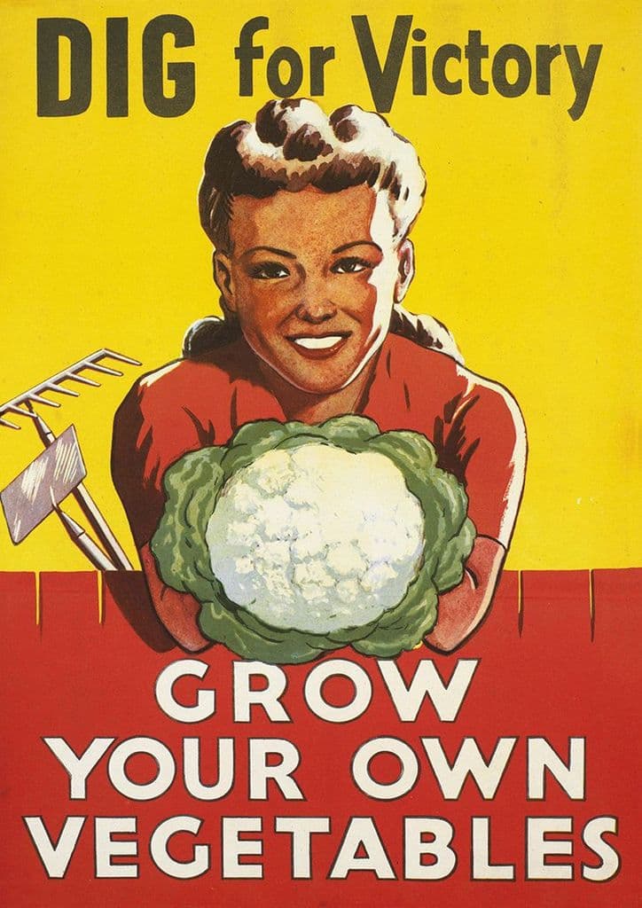 Dig for Victory, Grow Your Own Vegetables. Vintage Print/Poster (4935)