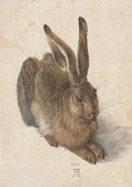 Durer, Albrecht: A Young Hare, 1502. Fine Art Print/Poster (1925)