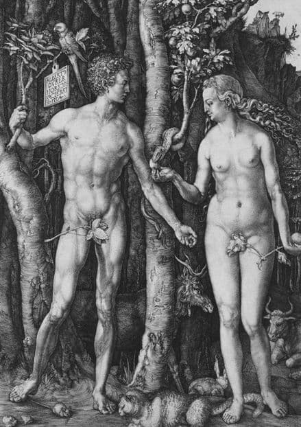 Durer, Albrecht: Adam and Eve. Fine Art Print/Poster. Sizes: A4/A3/A2/A1 (001919)