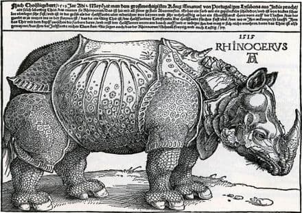 Durer, Albrecht: Rhinoceros. Fine Art Print/Poster. Sizes: A4/A3/A2/A1 (00160)