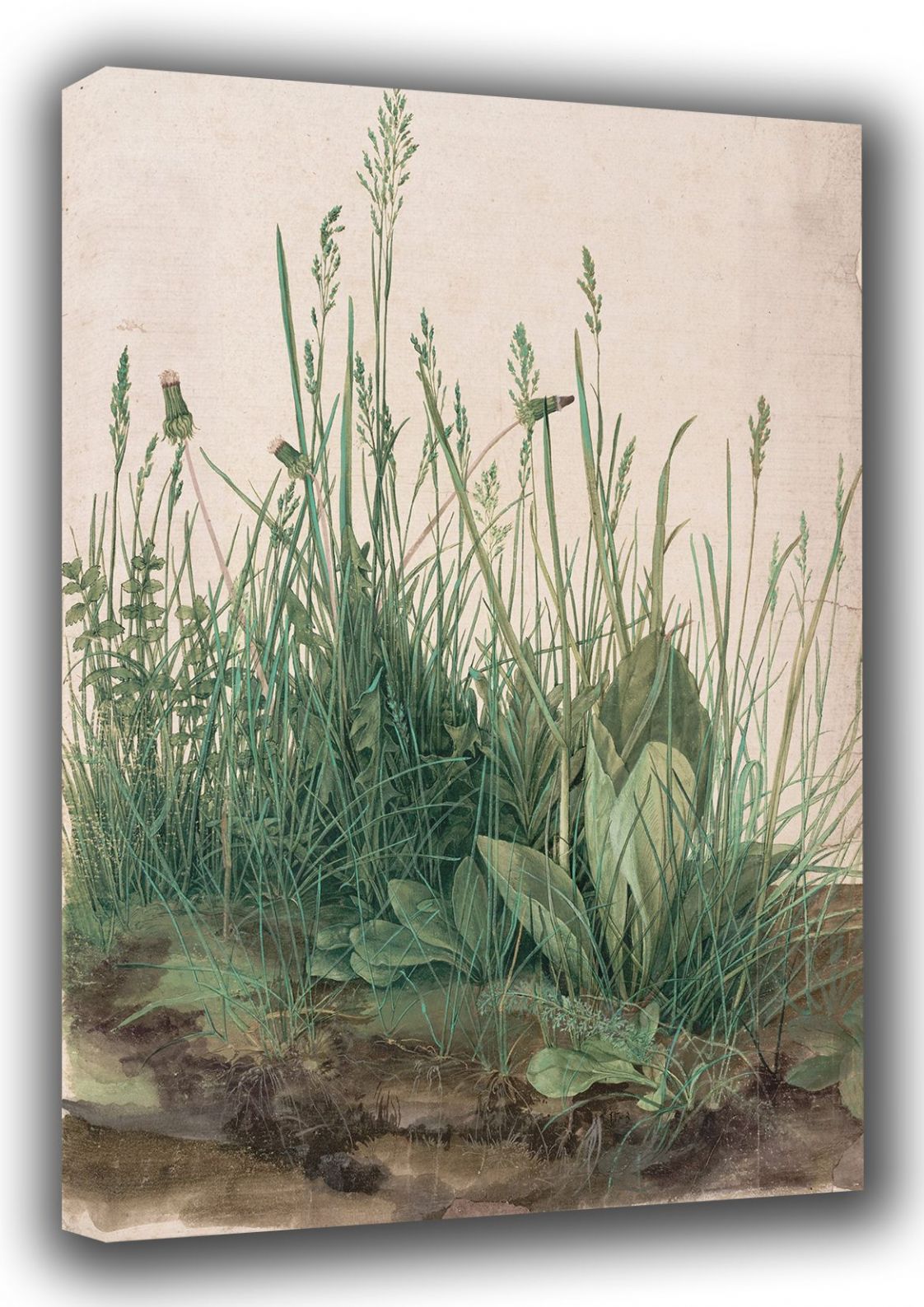 Durer, Albrecht: The Large Turf. (Realism) Botanical Fine Art Canvas. Sizes: A3/A2/A1 (001912)