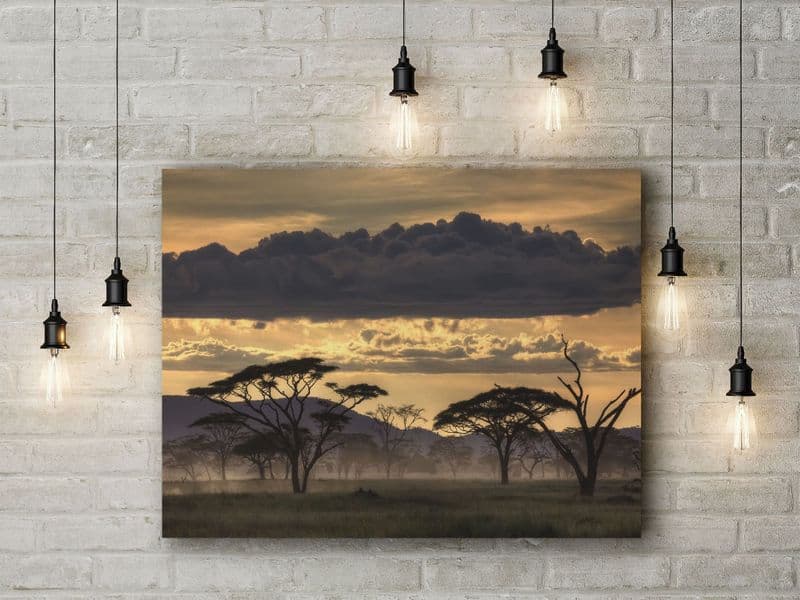 Good Evening Tanzania by Amnon Eichelberg. African Gold Savannah Landscape Photographic Art Canvas