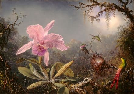 Heade, Martin Johnson: Cattleya Orchid and Three Hummingbirds. Fine Art Print/Poster (4180)