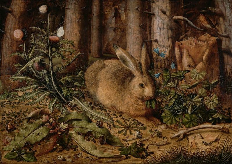 Hofmann, Hans: A Hare in the Forest. Fine Art Print/Poster. Sizes: A4/A3/A2/A1 (004019)