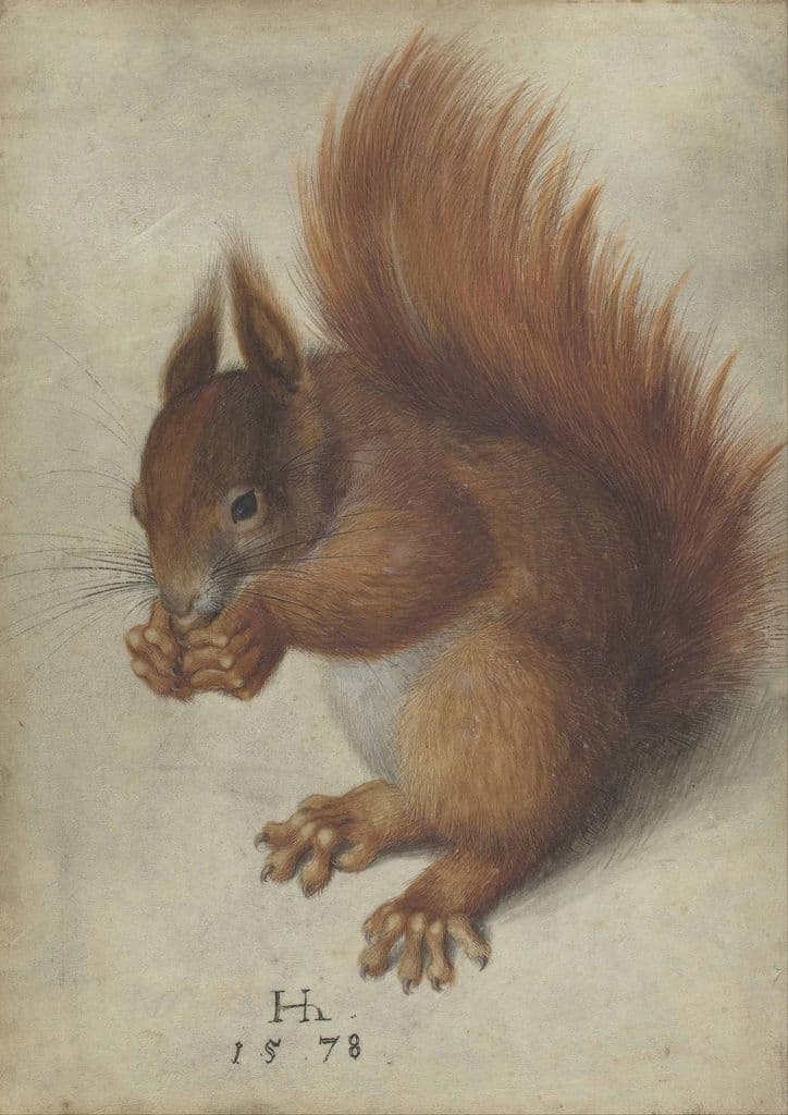 Hofmann, Hans: Red Squirrel. Fine Art Print/Poster. Sizes: A4/A3/A2/A1 (004098)