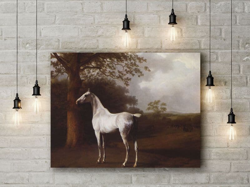 Jacques Laurent Agasse: White Horse in Pasture. Fine Art Canvas.