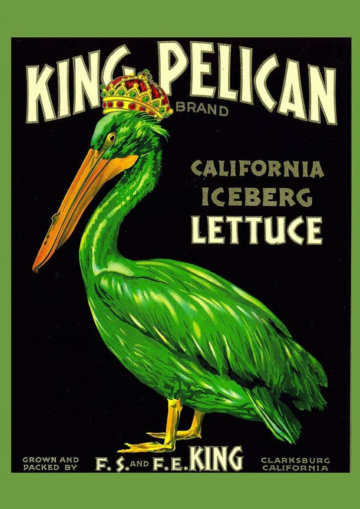 King Pelican California Iceberg Lettuce. Vintage Print/Poster (4937)