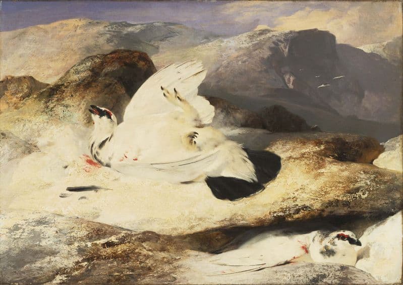 Landseer, Sir Edwin: Ptarmigan in a Landscape. Fine Art Print/Poster. Sizes: A4/A3/A2/A1 (003938)