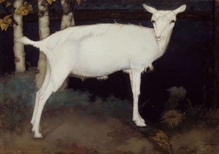Mankes, Jan: Young White Goat. Fine Art Animal Print/Poster. Sizes: A4/A3/A2/A1 (00514)