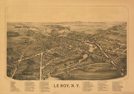 Map of Le Roy, New York 1892. Print/Poster (4862)