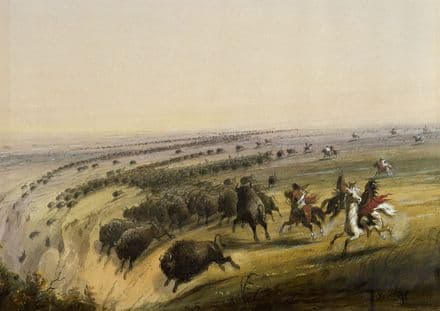 Miller, Alfred Jacob: Hunting Buffalo. Fine Art Print/Poster. Sizes: A4/A3/A2/A1 (003829)