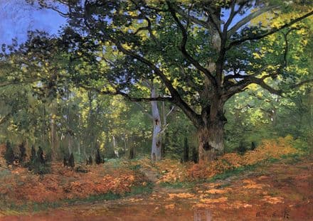 Monet, Claude: Bodmer Oak, Fontainbleau Forest. Fine Art Print/Poster. Sizes: A4/A3/A2/A1 (00749)