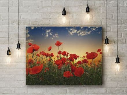 Poppies by Albena Markova. Field of Red Flowers Landscape Photographic Art Canvas