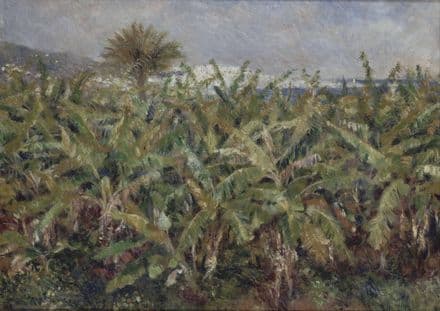 Renoir, Pierre Auguste: Field of Banana Trees. Fine Art Print/Poster. Sizes: A4/A3/A2/A1 (004111)