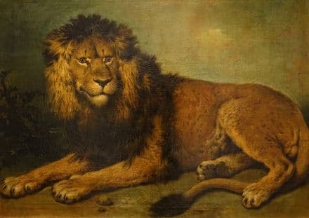 Seekatz, Johann Conrad: Lion. Fine Art Print/Poster