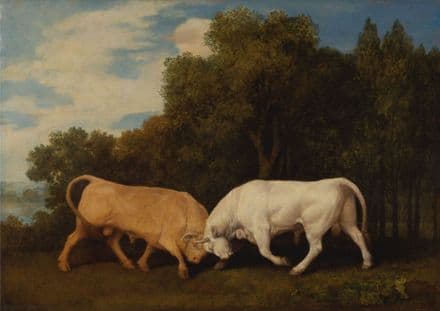 Stubbs, George: Bulls Fighting. Fine Art Print/Poster. Sizes: A4/A3/A2/A1 (004115)