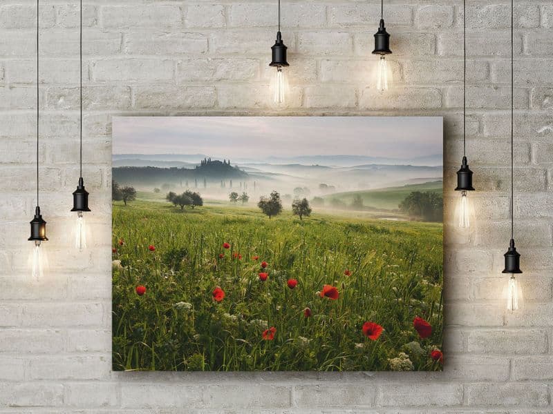 Tuscan Spring by Daniel Rericha. Poppies/Flower Landscape Photographic Art Canvas